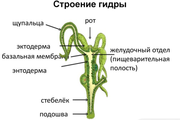 Настоящая ссылка на кракен