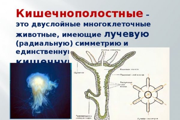 Кракен интернет
