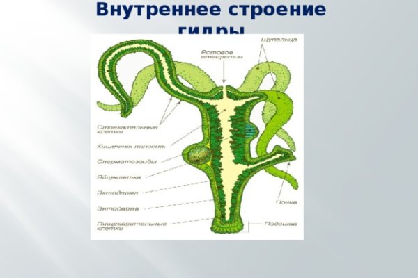 Пользователь не найден кракен даркнет